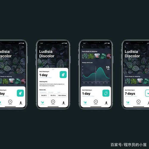 如何甄選與委托 尋找靠譜軟件外包公司的全面指南